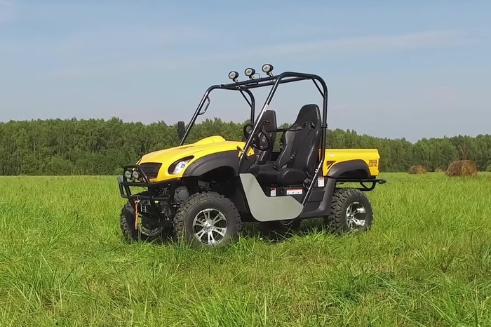 багги 2ух.jpg